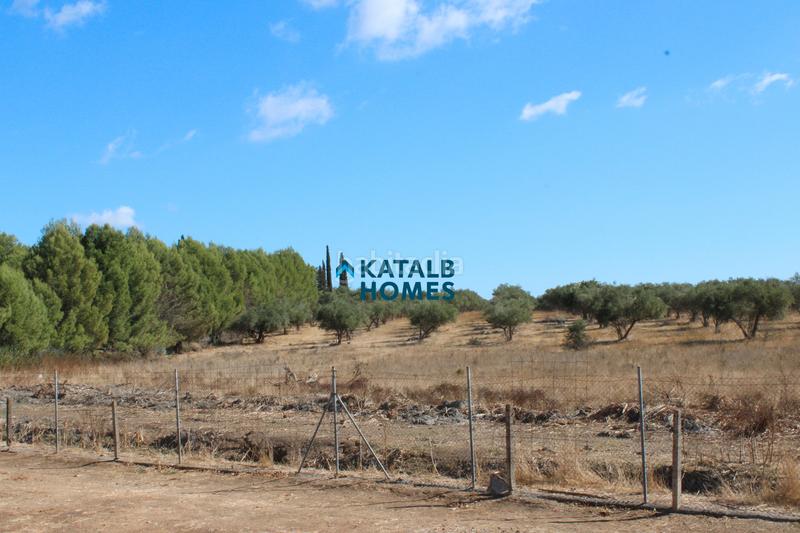 Foto b27d8a20-2550-4bfd-9123-921b01d76b68. Chalet  en venta Nuevo Bulevar en Nuevo Bulevar Mairena del Aljarafe