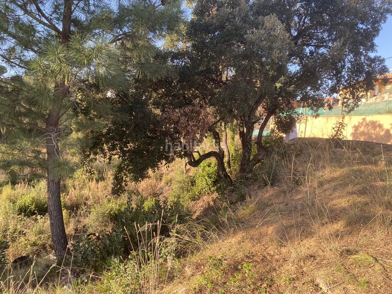 Foto 06f67ccf-e84d-4b9a-a876-522bcefba07b. Terreno residencial en carrer perdiu 38 tres parcelas contiguas ideal promotor en Riudarenes