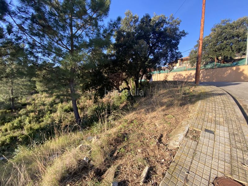 Foto 91c65054-7d58-4054-9109-3e9e073e161d. Terreno residencial en carrer perdiu 38 tres parcelas contiguas ideal promotor en Riudarenes