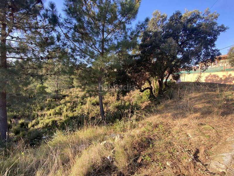 Foto a82f68ec-e1a3-4603-ab15-fccaee8a5028. Terreno residencial en carrer perdiu 38 tres parcelas contiguas ideal promotor en Riudarenes