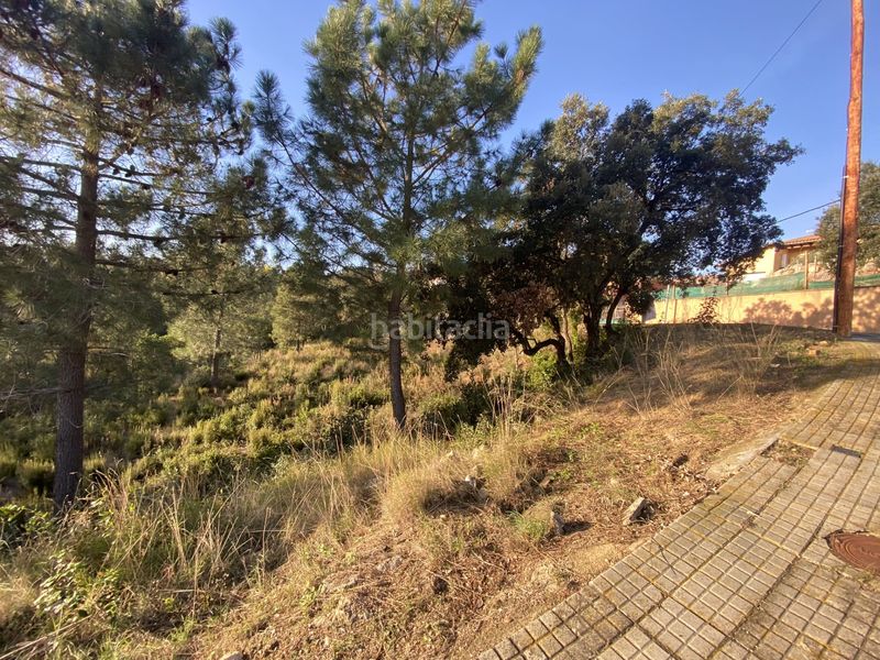 Foto b4617543-0078-4d1b-90b0-b2b0401e9c76. Terreno residencial en carrer perdiu 38 tres parcelas contiguas ideal promotor en Riudarenes