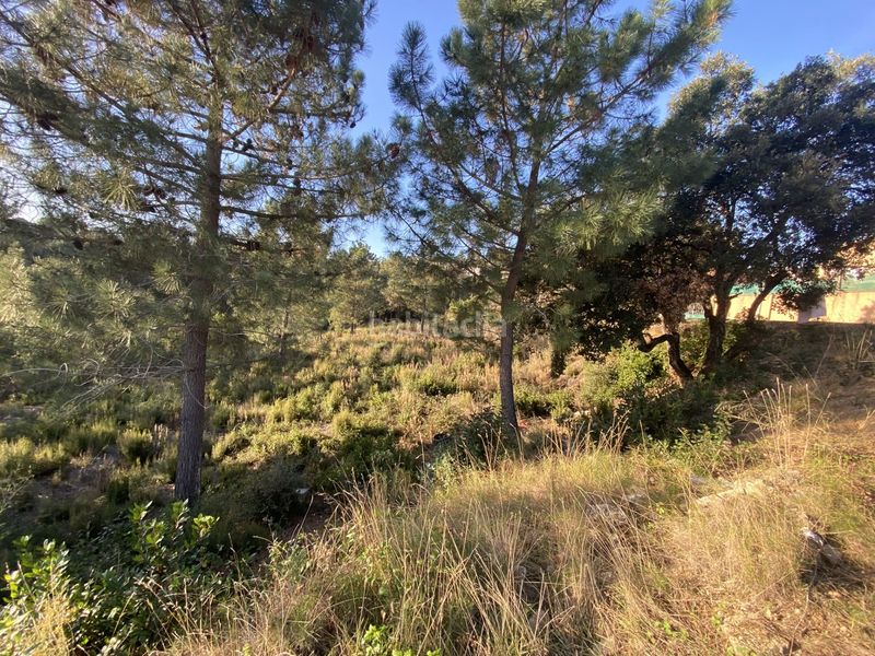Foto d9b3105d-83df-4f9d-8a4b-5222762a65f1. Terreno residencial en carrer perdiu 38 tres parcelas contiguas ideal promotor en Riudarenes