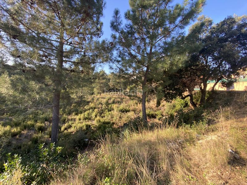 Foto fdb00f93-a362-40b4-b69b-f208357b8cdf. Terreno residencial en carrer perdiu 38 tres parcelas contiguas ideal promotor en Riudarenes