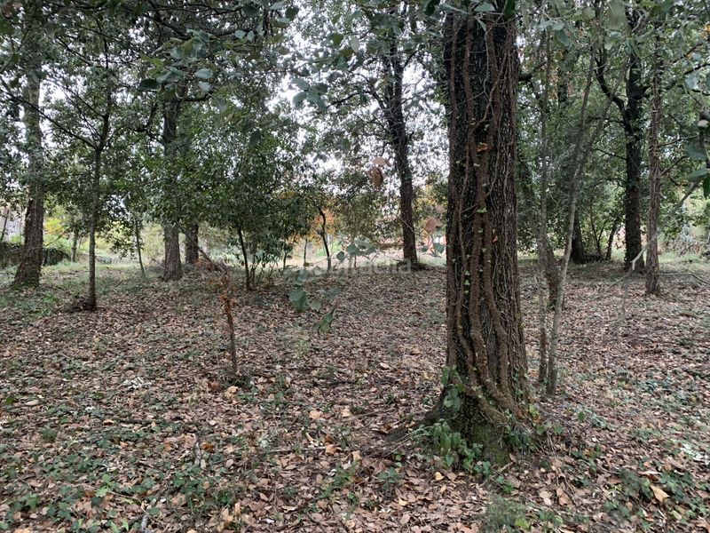 Foto a8b34474-6446-4722-8c50-b6cdf291b50a. Terreno residencial en carrer castelló 3 parcela muy bien orientada en calle sin salida zona muy tranquila en Sant Pere de Vilamajor