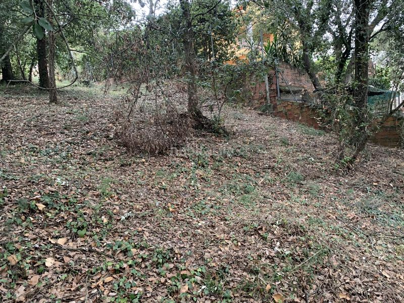 Foto b6963ced-d781-41a5-a9f1-fd92f82df519. Terreno residencial en carrer castelló 3 parcela muy bien orientada en calle sin salida zona muy tranquila en Sant Pere de Vilamajor