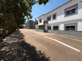 Nave industrial en Este. Amplio complejo industrial junto a mrida