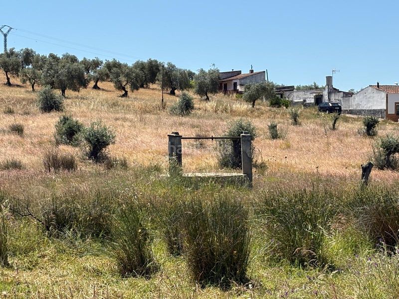 Foto 4d1fb782-e03a-48ce-8518-bd631fb58f88. Finca rústica parcela junto a merida con posibilidad de edificación en Mérida