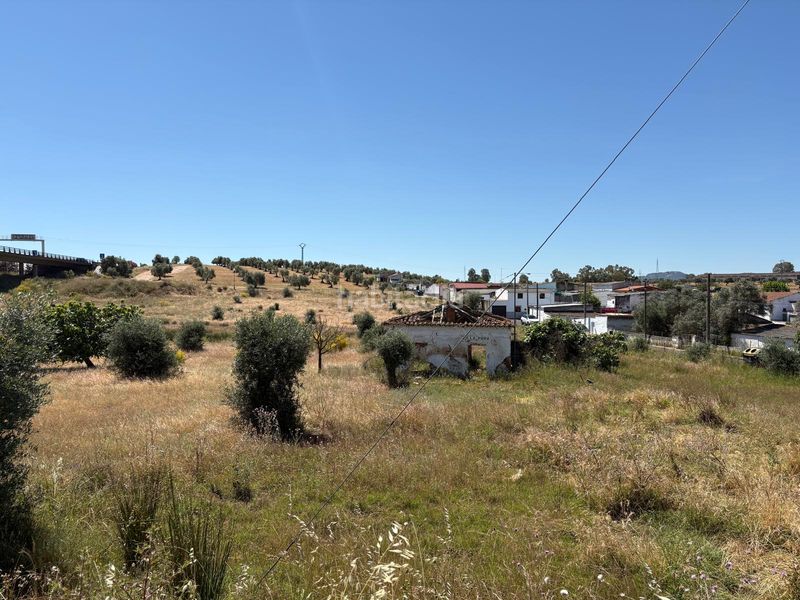 Foto bf7b9c12-4fd4-4d6b-b7cb-b68a99bf6fb3. Finca rústica parcela junto a merida con posibilidad de edificación en Mérida