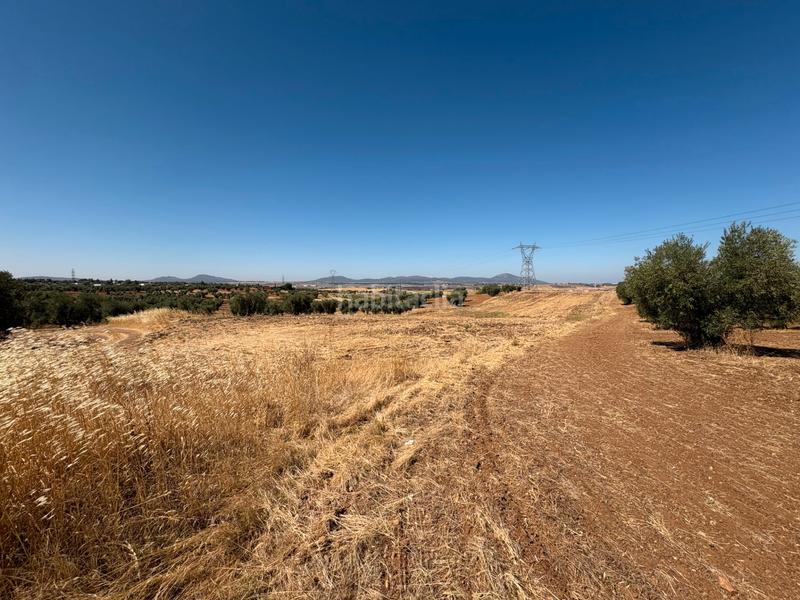 Foto 176daaa3-3831-41e5-a51a-1a0ef0c1f084. Landgut in Sur Mérida