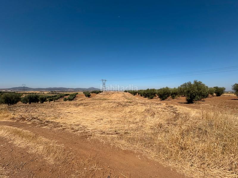 Foto 43685476-f50a-4662-bf64-b0d8e9a3d200. Landgut in Sur Mérida