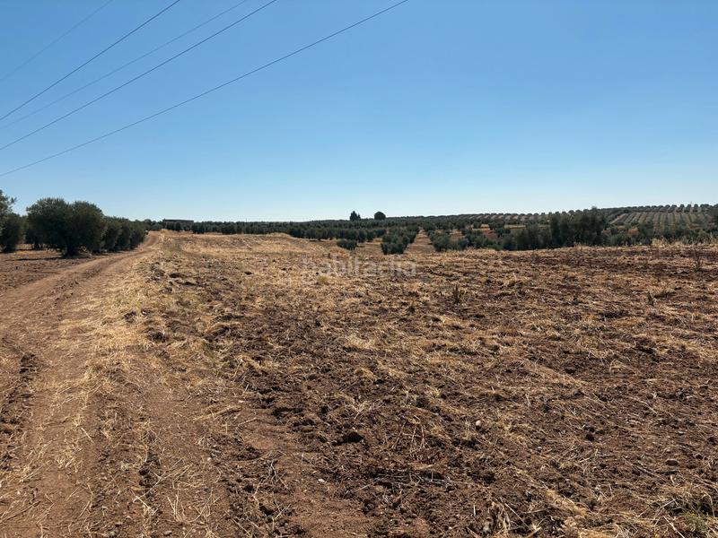 Foto 50d46e61-1091-4312-a1ef-e6b0217b83c8. Landgut in Sur Mérida