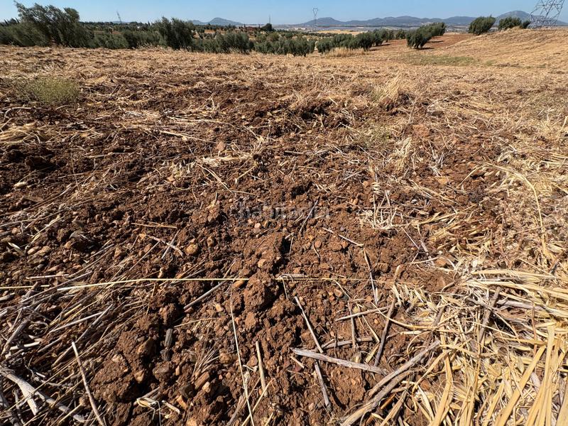 Foto 6dd0ebaa-d3a0-4953-b73d-39219728f981. Landgut in Sur Mérida