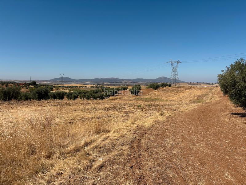 Foto 80c77e62-2577-4634-afb8-c7617d4c6a5d. Landgut in Sur Mérida