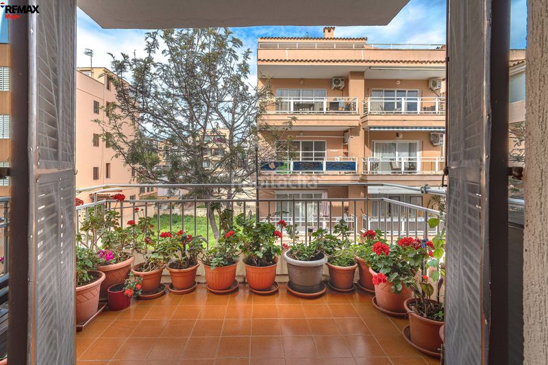 Foto 70e6104a-74c5-400c-90a2-d2c40a56301e. Flat in Son Servera poble Son Servera