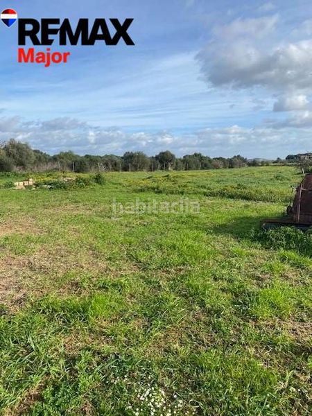 Foto 1b2f71d4-0c68-41b2-bd1d-aed9389870d1. Casa amb aparcament a Sant Joan
