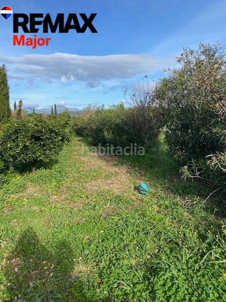 Foto 8cd1fc1a-69f3-4e97-9c18-e02e2748ed69. Casa amb aparcament a Sant Joan