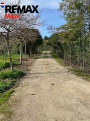 Casa in Sant Joan. Finca sineu  3,5 hectáreas de pura naturaleza
