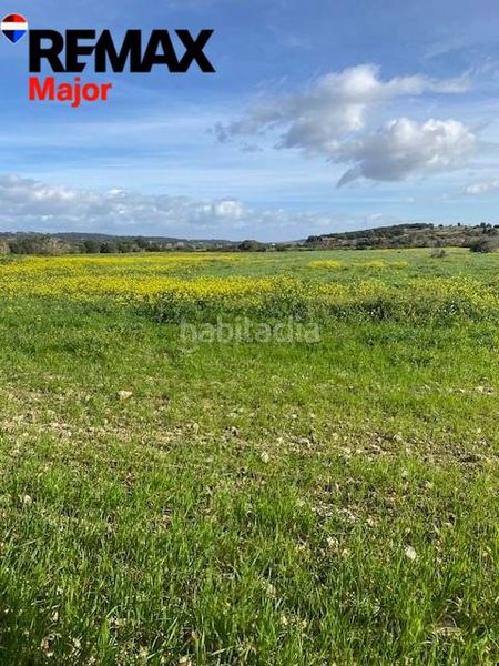 Foto ee1ce328-9dc0-49ae-b807-11431c97fe2b. Casa amb aparcament a Sant Joan