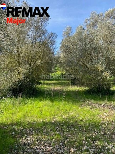 Foto f14fb951-fc23-407a-ab3b-9ec160eee219. Casa amb aparcament a Sant Joan