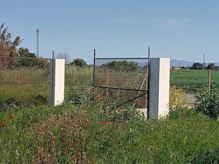 Landgut in Sa Pobla. Terreno rústico de 7.100 m2 con caseta y agua en sa pobla son an