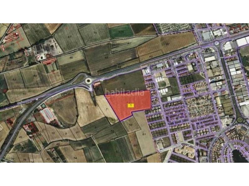 Foto 74ff39da-26aa-473e-bd79-f28a9f41da51. Finca rústica a Castelló d´Empúries