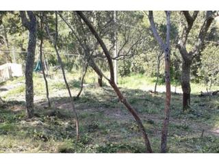 Finca rústica  Santa elena. Terreno en venta en maçanet de la selva
