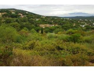 Finca rústica  Sant nicolau. Terreno en venta en maçanet de la selva