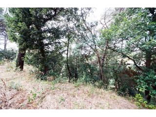 Finca rústica  Junta de la compensación. Terreno en venta en maçanet de la selva