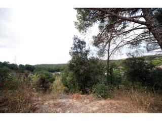 Finca rústica  Junta de la compensación. Terreno en venta en maçanet de la selva