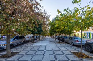 Business premise in Barrio de Zaidín. Oportunidad!local con cambio de uso en calle primavera!