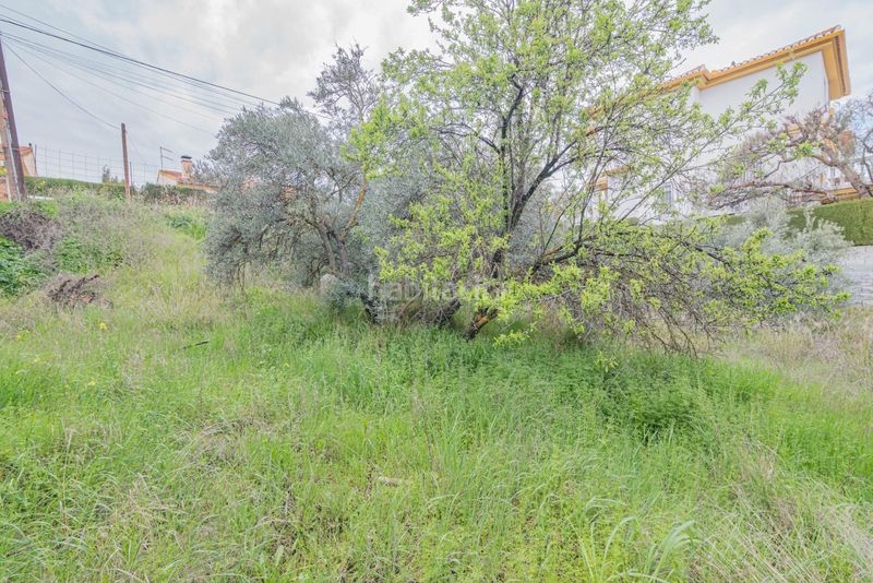 Foto 19ad6eda-2ce8-4615-a883-45b572e5e44f. Terreny residencial a Cúllar Vega