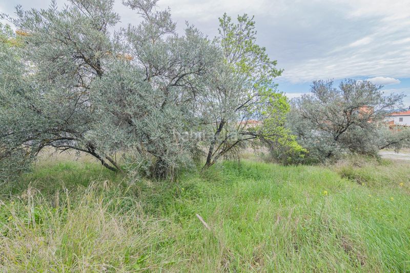 Foto 39c7a1b8-c1aa-4bb5-b97a-ab6e519fe776. Terreny residencial a Cúllar Vega