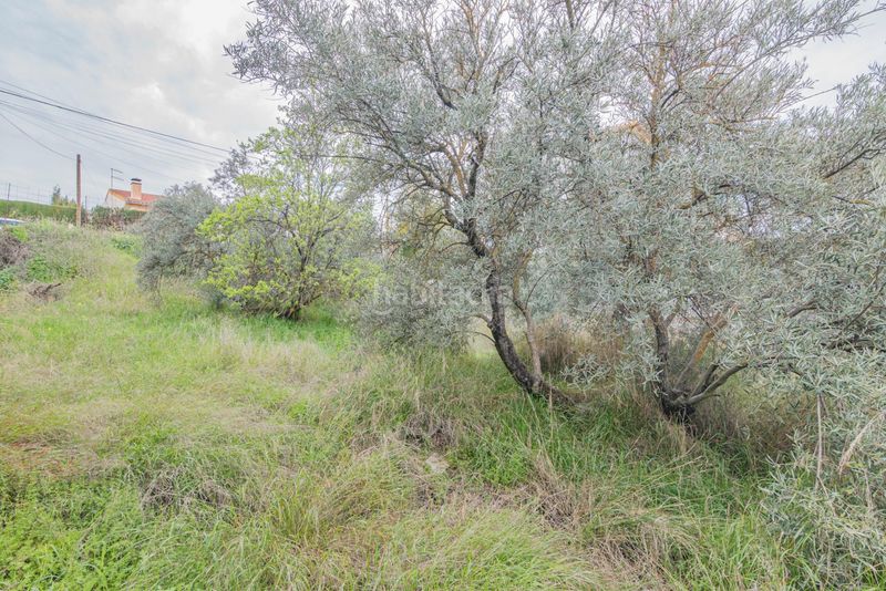 Foto 7dffb54b-7287-422f-b29e-ecec0a094877. Terreny residencial a Cúllar Vega