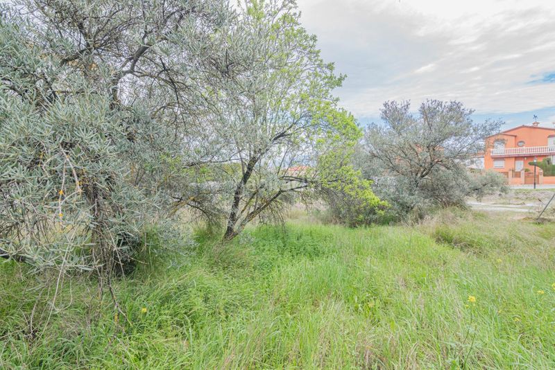 Foto 90b7e459-3d48-4e4a-ba3f-90472c94d9e9. Terreny residencial a Cúllar Vega