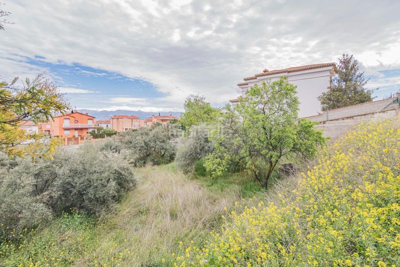 Foto 9608837f-e7d8-4283-b9c8-2e4f7df609d0. Terreny residencial a Cúllar Vega