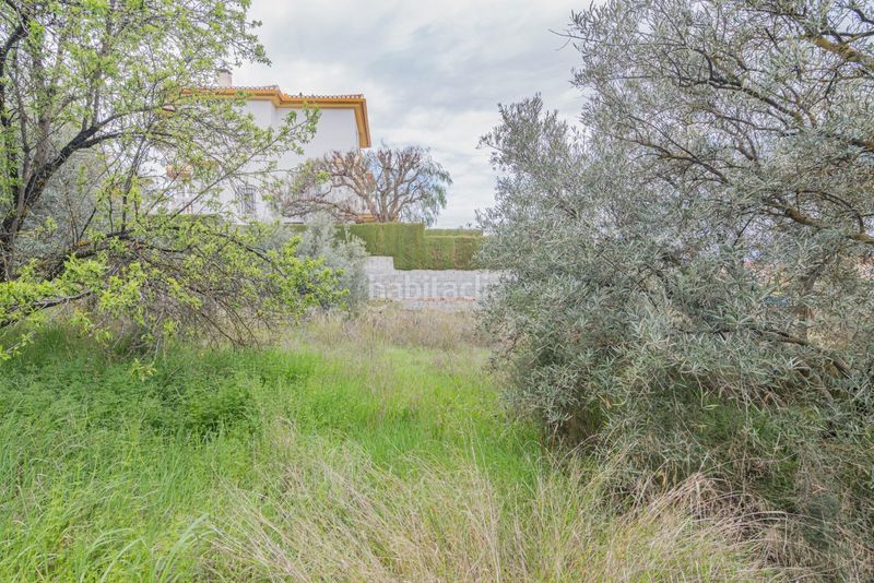 Foto a2f28bd6-ffe5-4da5-bb40-071966f3a556. Terreny residencial a Cúllar Vega