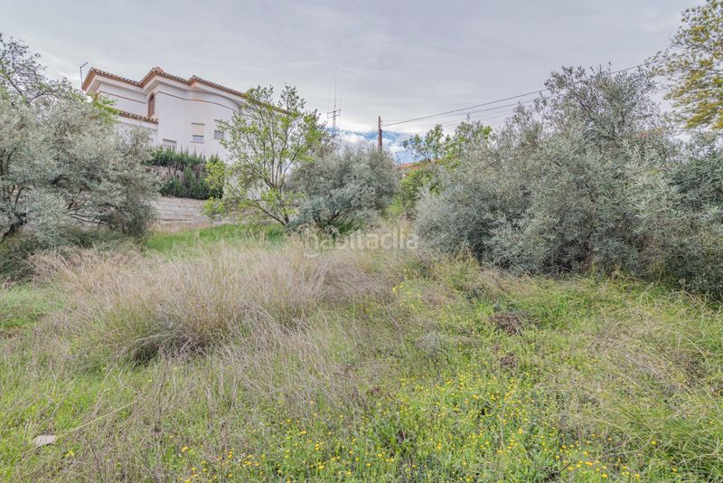 Foto cce97379-12a0-4918-9e95-6efbcec1bfc7. Terreny residencial a Cúllar Vega