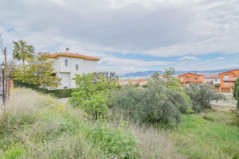 Foto e455b555-b3a7-45aa-82c2-f326fd8ecad2. Terreny residencial a Cúllar Vega