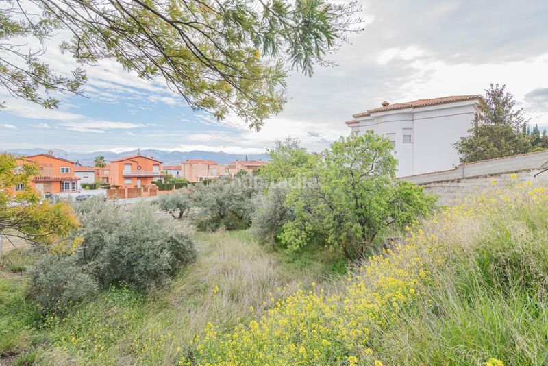 Foto eff52480-c7da-448e-937e-379330c2f99f. Terreny residencial a Cúllar Vega