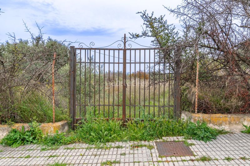 Foto 133b01e6-5f62-475a-9898-994d7dd31f43. Terreny residencial a Albolote