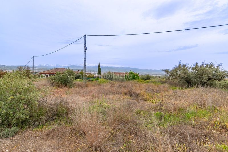 Foto 3306ae6c-18f4-47b4-990e-0d2049a9f0c1. Terreny residencial a Albolote