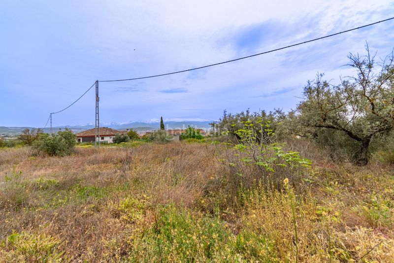 Foto 4749dfaf-4c1d-45cb-a0b4-ec7d99219044. Terreny residencial a Albolote