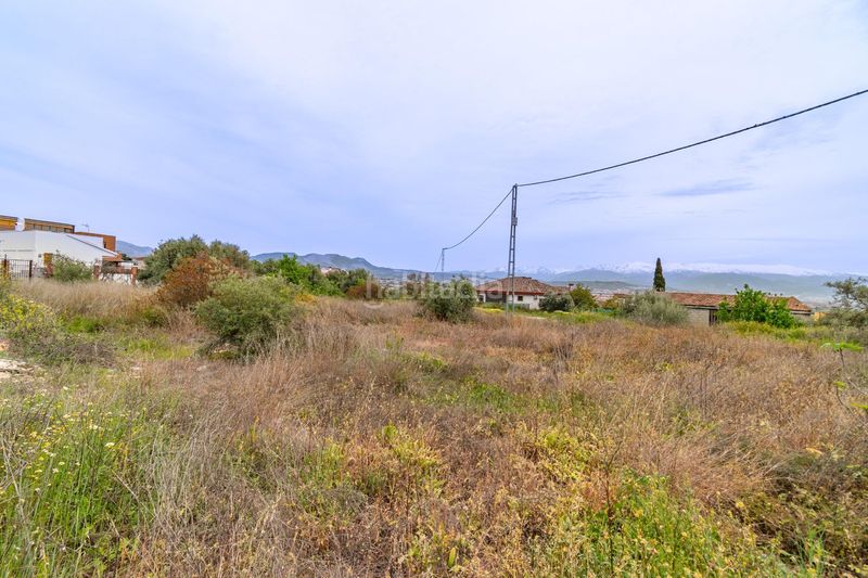 Foto 7685478e-824c-4cd3-8470-be63f07b6538. Terreny residencial a Albolote