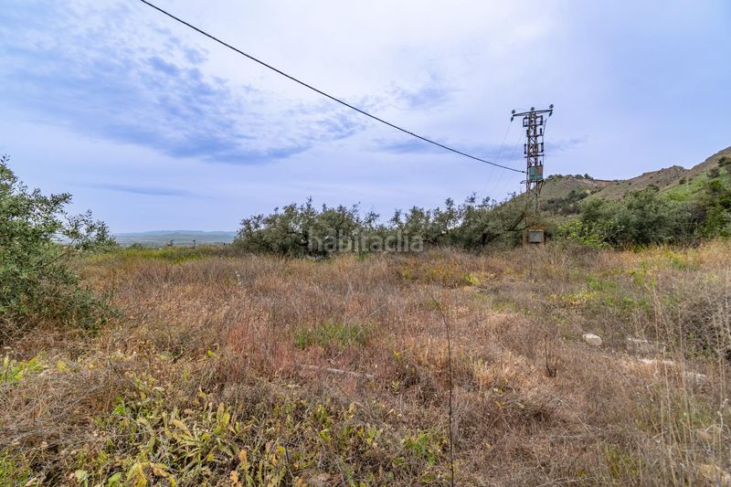 Foto 9fbd7185-1e94-42ef-8d7c-1bbdeb898838. Terreny residencial a Albolote