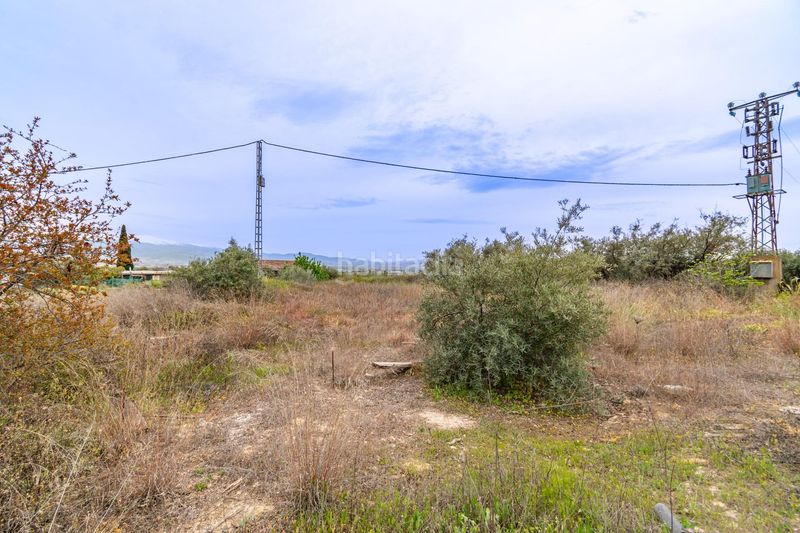 Foto a83c4216-5390-40c2-8620-b823e6f16271. Terreny residencial a Albolote