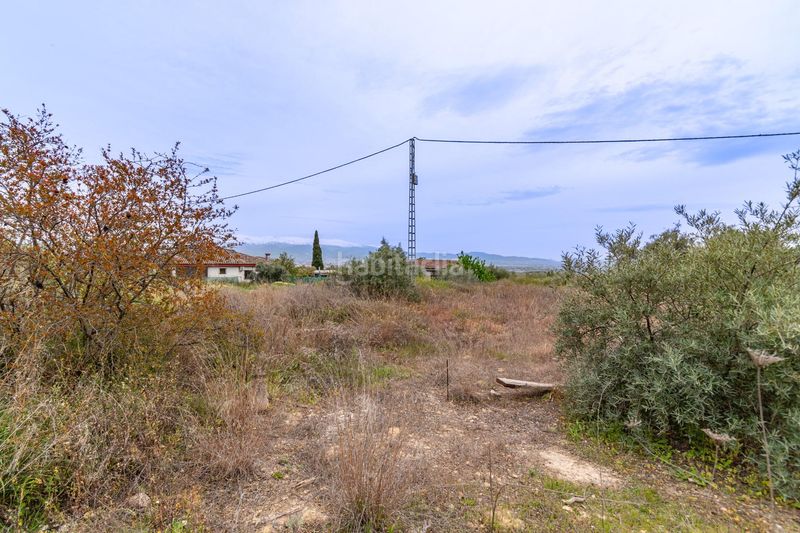 Foto f0fecdf6-1f1d-4dee-ae12-6b00750b7bd0. Terreny residencial a Albolote