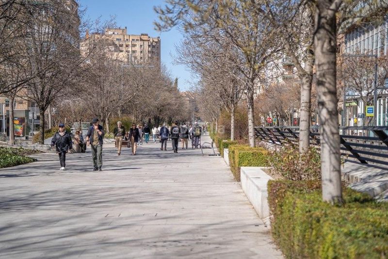 Foto d26e2486-430c-49ce-813a-48bb6f06bdb8. Ático  junto a constitución en Centro - Sagrario Granada