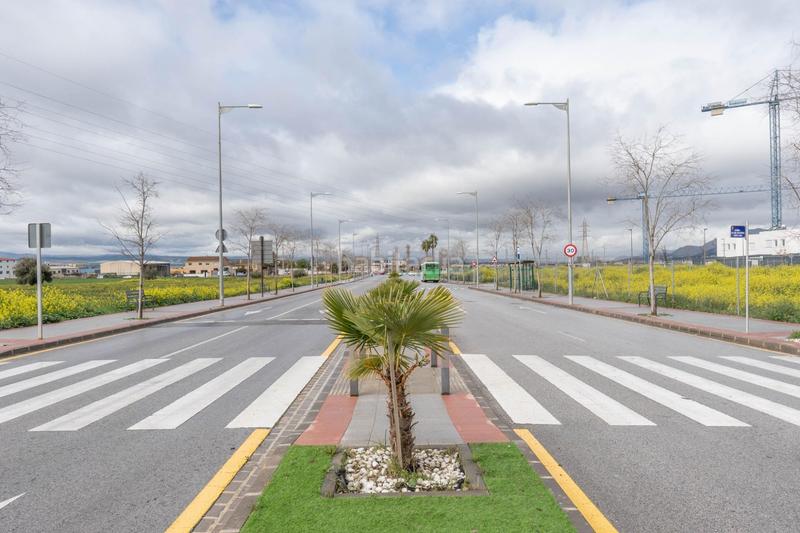 Foto 9cced19e-9b24-4272-a760-7e1f50834395. Geschäftsraum in Pulianas