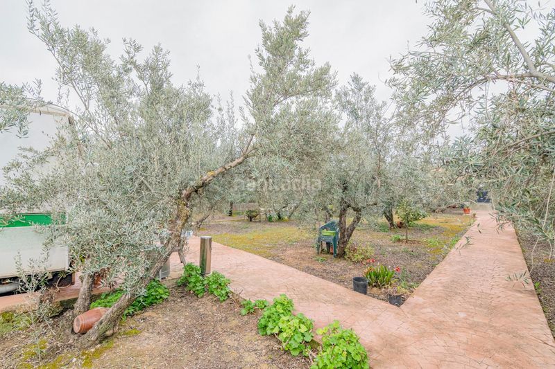 Foto 5a9a3a27-7e86-4b91-ba18-b6adf36a089f. Finca rústica a Ogíjares