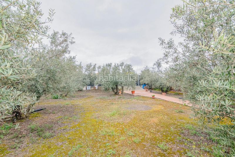 Foto 7ee7ba20-5880-47e7-8386-b9e3183e13d2. Finca rústica a Ogíjares